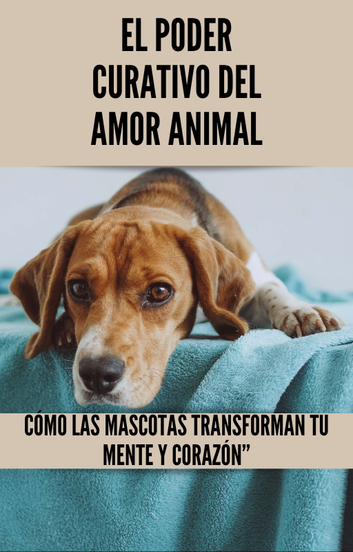 El poder curativo del amor animal